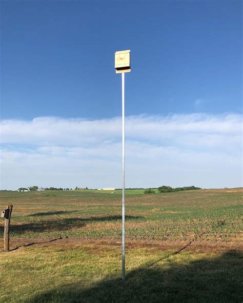 bat house mounted poles